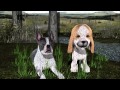 Bowwow Sad Toy Dogs