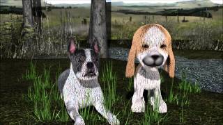 bowwow, sad toy dogs.wmv