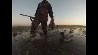 Early Teal Season(First 3 days)- The Fowl Brothers