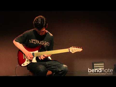 Guitare Fretless - Denis Cornardeau -