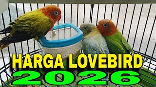 Download lagu update harga lovebird biola terbaru tahun 2026 mp3 Download lagu update harga lovebird biola terbaru tahun 2026 mp3