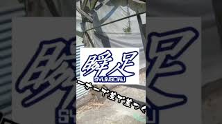 #shorts【サバゲ】サバゲは常に遊び　#エアガン　#サバゲ 　#FPS 　#ガバメント #airsoft #サバゲー
