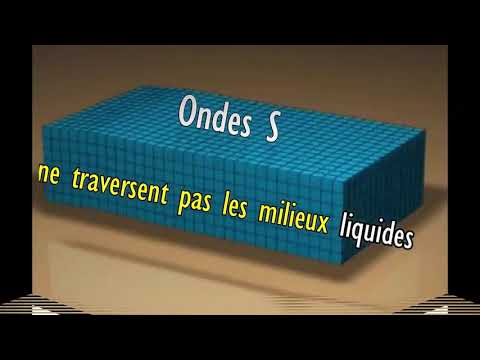 Dynamique interne du globe ► Mouvements et propagation des ondes sismiques  P  S  L  R