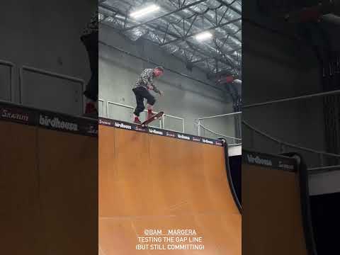 Bam reunites with Tony Hawk
