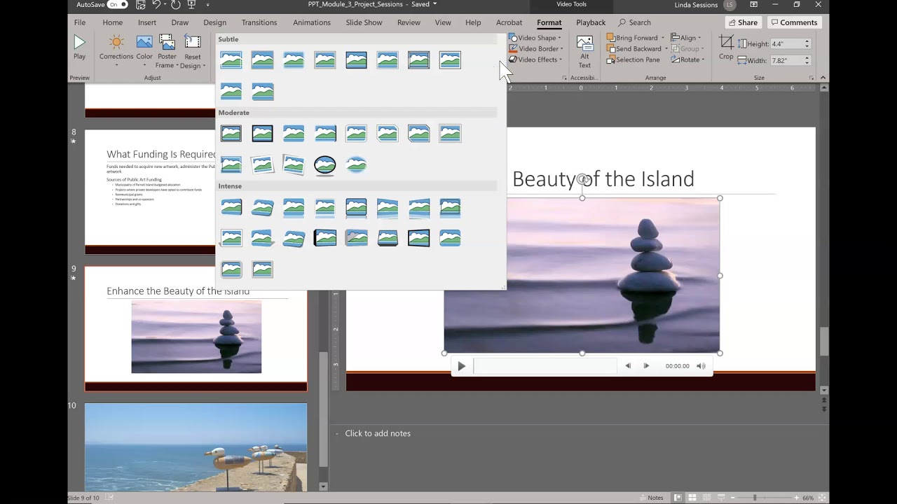 PPT Module 3 SAM End of Module Project 1:  Public Art Policy