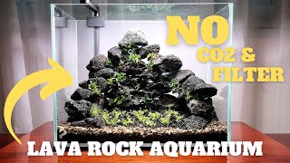 LOW TECH SHRIMP TANK - LAVA ROCK SHRIMP TANK SETUP - THREE LINED PENCILFISH, CHIHIROS C2 RGB
