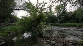 S. Carey - 'Supermoon' Trailer