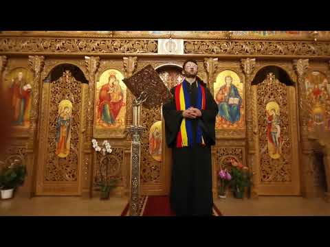 Stef Mihnea - La căsuța unde