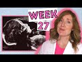 What To Expect At 27 Weeks Week By Week 27 Weeks Pregnant In Months
