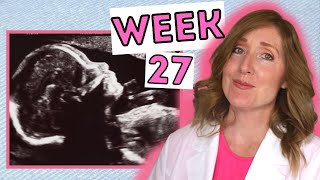 What to Expect at 27 Weeks | Week by Week 27 Weeks Pregnant in Months