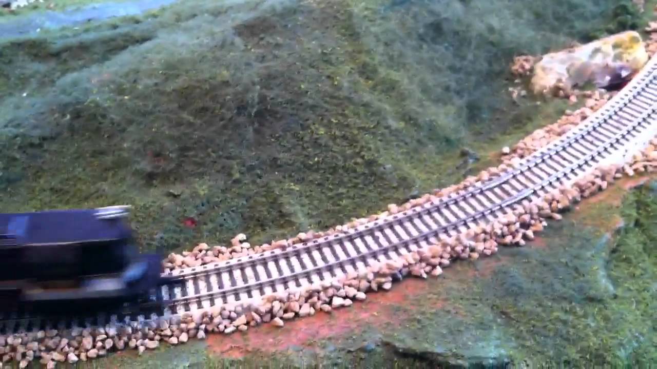 Wild Man Ted Train 16