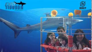 DIA 3 Expo Tiburon56