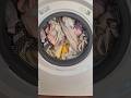 Start Wash Full Load Of Whites In ColdWash Program Washing Laundry Beko Washingmachine