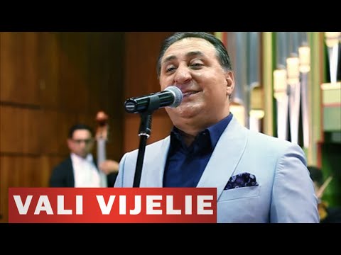 VALI VIJELIE - De dorul tau (VIDEO OFICIAL 2016)