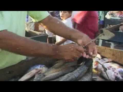 Image de prévisualisation YouTube