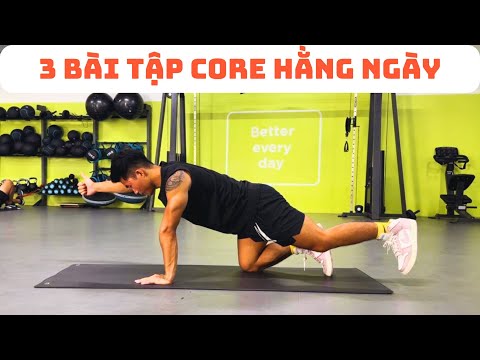 3 Bài Tập Core Tốt Nhất Bạn Nên Tập Mỗi Ngày - McGill Big 3