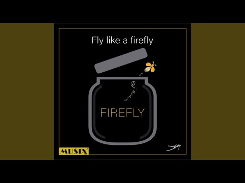 Fly Like a Firefly (Sangy Edit)