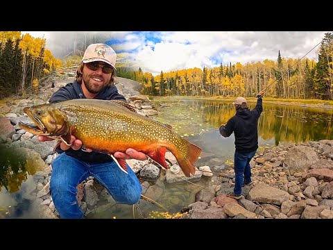HOW DO BROOK TROUT GET THIS BIG?? (Catch, Cook, Camp)