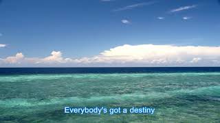 When The Swallows Fly - The Bee Gees