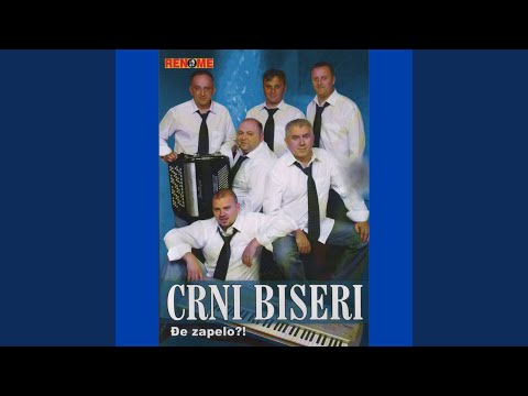 Pada je kiša toga dana