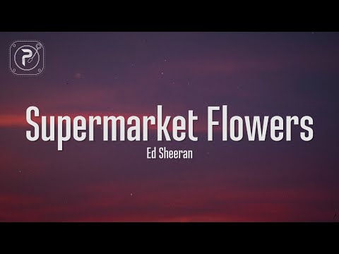 Supermarket Flowers - Ed Sheeran (Lyrics)