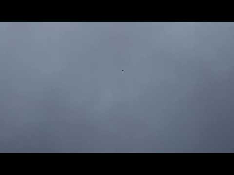 The sound of diving male peregrine falcon on snipe.