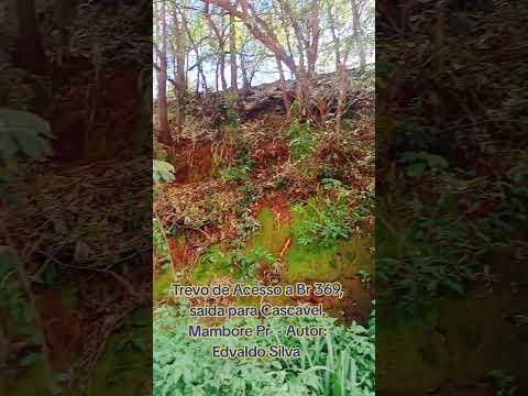 Município de Mambore Pr