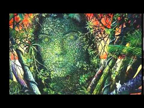 Mãe Natureza - George Lucena