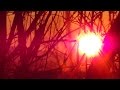 Берегите природу! 