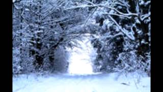 Winter Wonderland Lyrics - Eurythmics