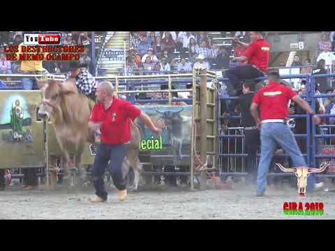 NECIO DE CUAUTLA VS EL MANICOMIO DE DESTRUCTORES EN PICO RIVERA GIRA USA 2018