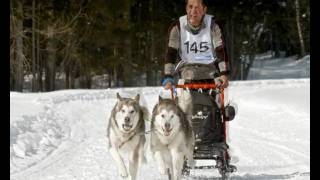 preview picture of video 'Schlittenhunde-Europameisterschaft in Kandersteg 2009'