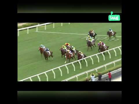 下季最佳短途馬韋小寶? (1) duke wai next super star ?