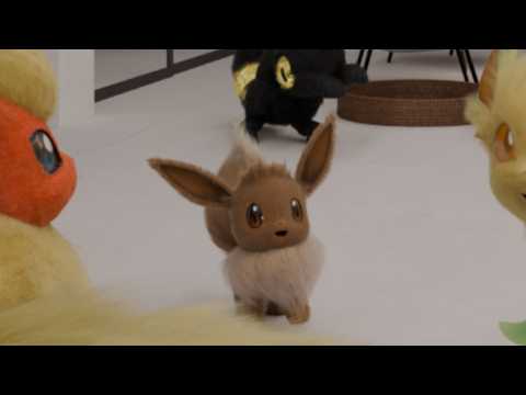 My small EEVEE !
