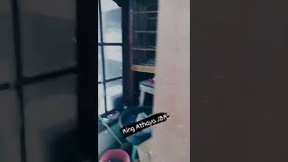 Download lagu kandang ternak murai batu milik ring Athaya JBR versi 2 mp3