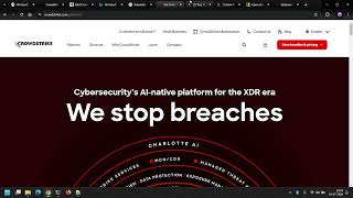 Why Millions of Microsoft systems were down, BSOD error - CrowdStrike & International Bluescreen Day