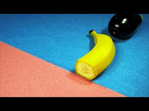 Hidden Patterns Inside Fruits, Vegetables and Mushrooms stop-motion
