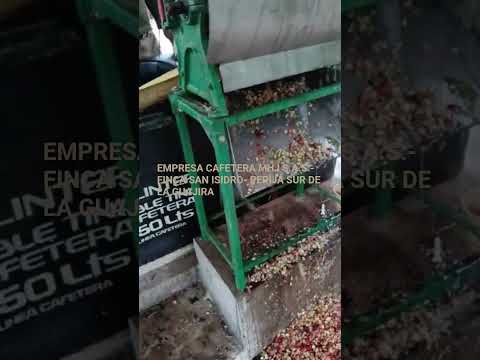 procesando nuestro sueño, Urumita, La Guajira.