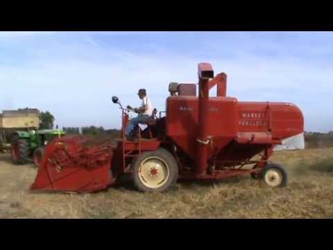 Landb. Lebbe - Ieper - Massey Ferguson 780 Special