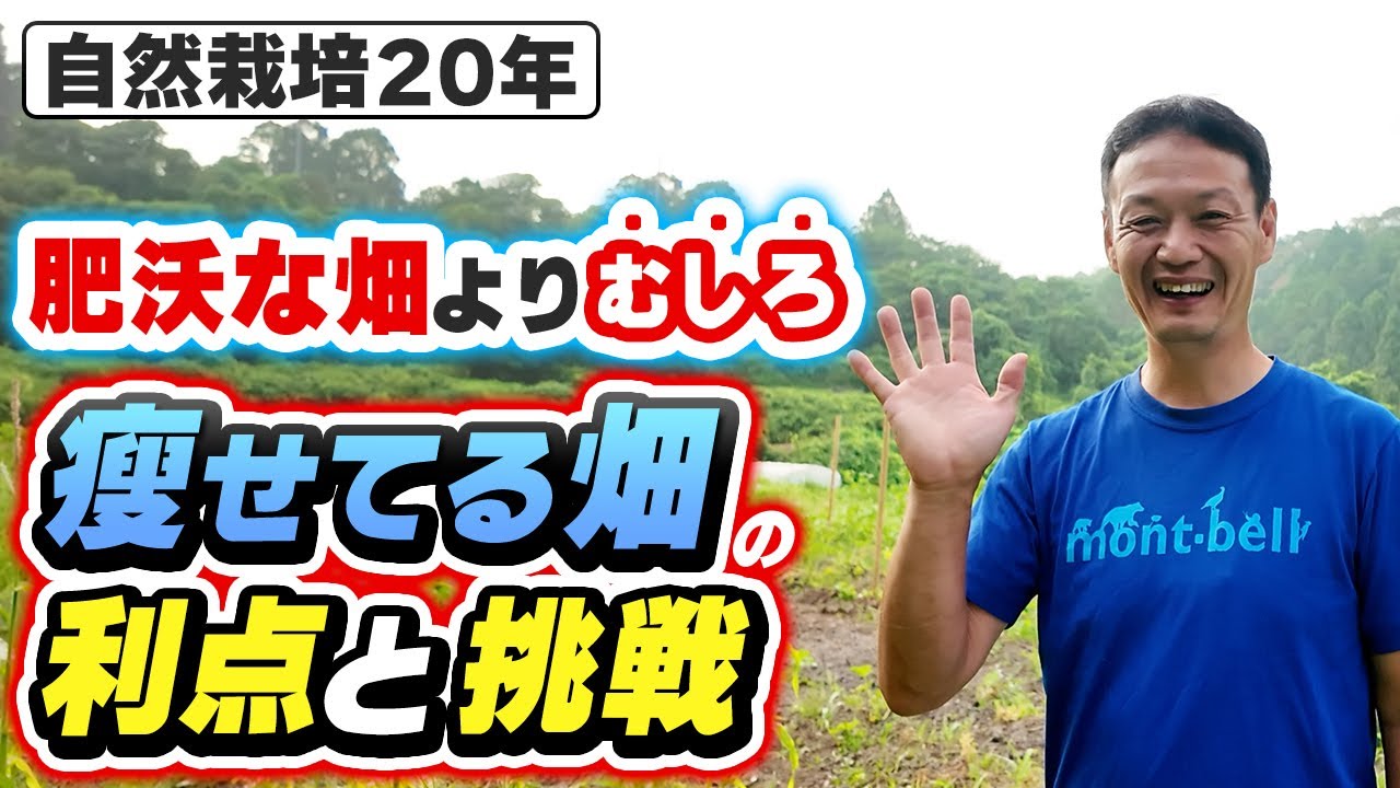 硬い土でも大丈夫!自然栽培の土への向き合い方