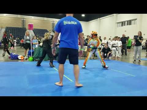 karate tournament Dixieland 2017