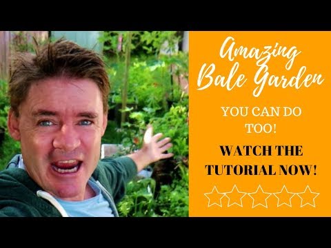 Why Grow Vegetables in Straw Bales Permaculture Method