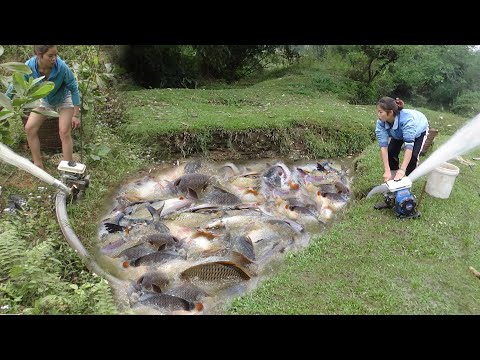 Top Fishing Videos: Survival Skill - Build Fish Traps Catch Big Fish - Survival Fishing
