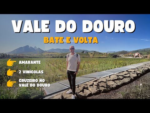 Passeio bate e volta nas Vinícolas no Vale do Douro em Portugal