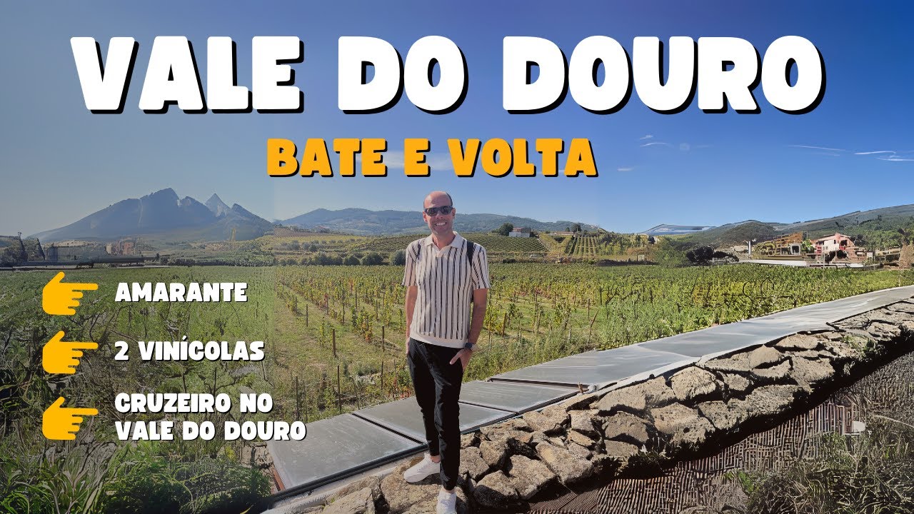 Passeio bate e volta nas Vinícolas no Vale do Douro em Portugal