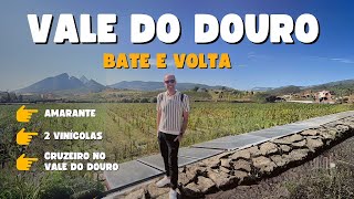 Passeio bate e volta nas Vinícolas no Vale do Douro em Portugal
