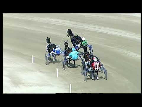 Napoli Trotto 15/10/2021 - 1ª prova di qualifica