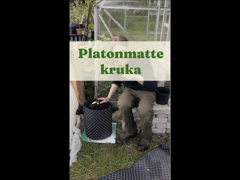 Platon mat pot - Gardenhacks by GardenR
