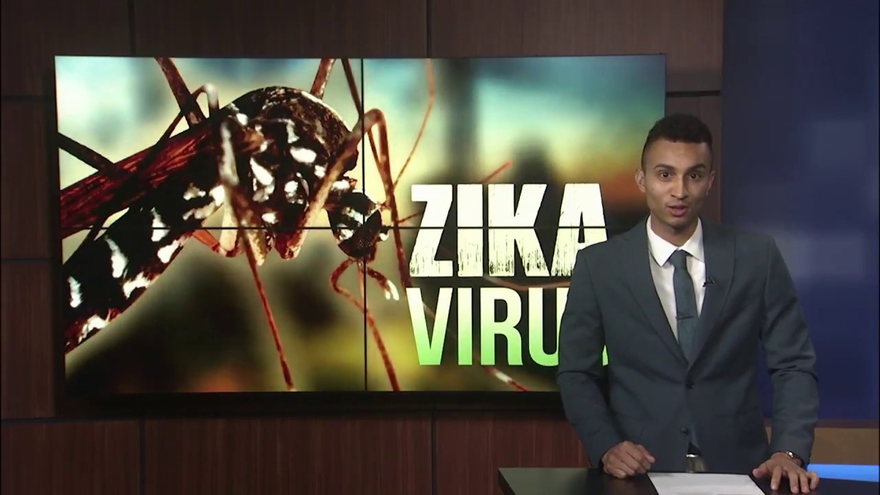 Preventing mosquito borne diseases