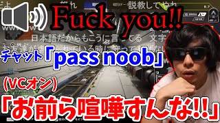 急に野良同士が喧嘩し始めて、仲介しようとするもこう先生　【2023/5/30/apex 】